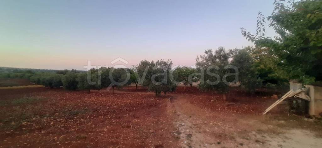 terreno agricolo in vendita ad Ostuni