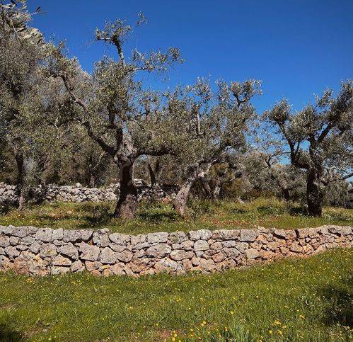 casa indipendente in vendita ad Ostuni