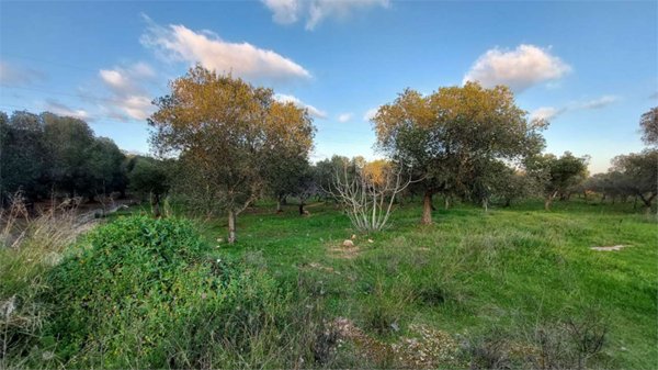 casa indipendente in vendita ad Ostuni