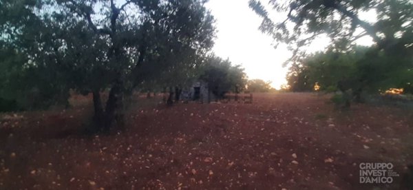 appartamento in vendita ad Ostuni