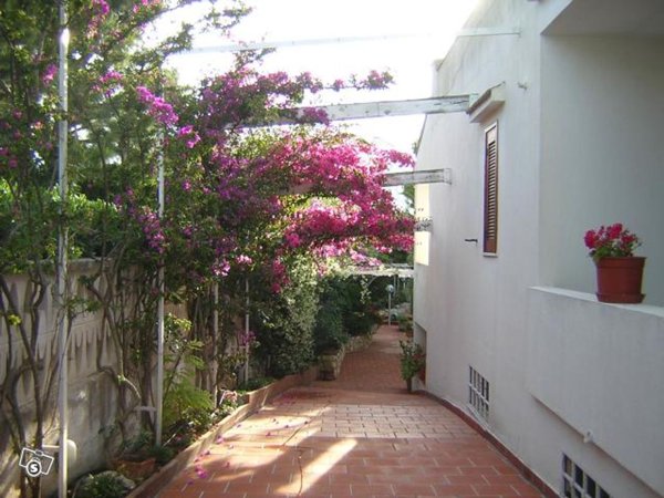 casa indipendente in vendita ad Ostuni