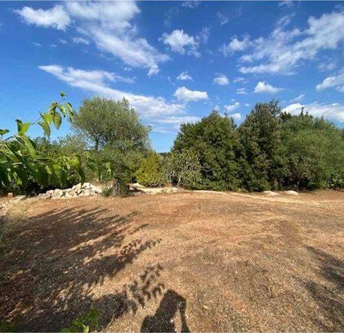 terreno agricolo in vendita ad Ostuni