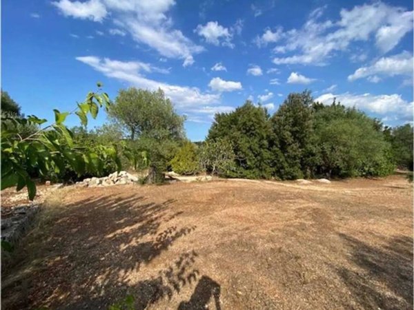 terreno agricolo in vendita ad Ostuni