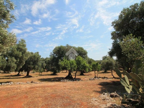 casa indipendente in vendita ad Ostuni