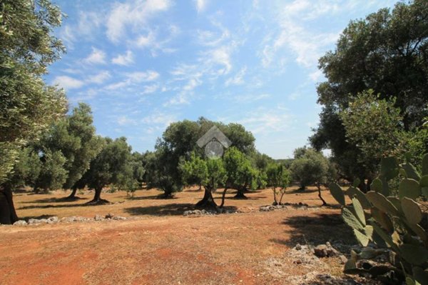 casa indipendente in vendita ad Ostuni