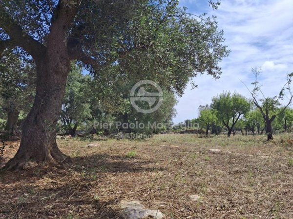 casa indipendente in vendita ad Ostuni