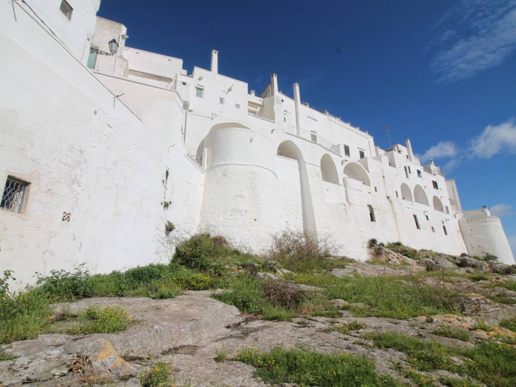 casa indipendente in vendita ad Ostuni