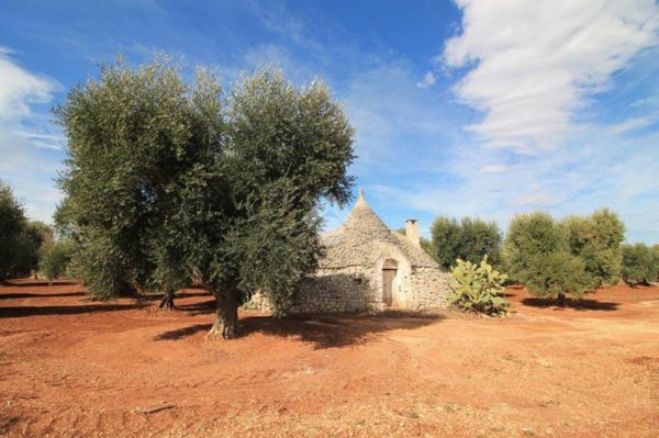 casa indipendente in vendita ad Ostuni