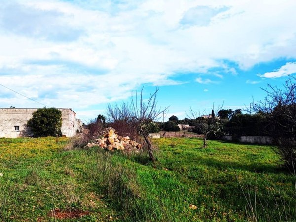 terreno agricolo in vendita ad Ostuni
