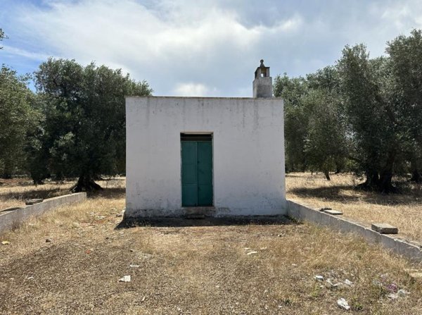 terreno edificabile in vendita ad Ostuni