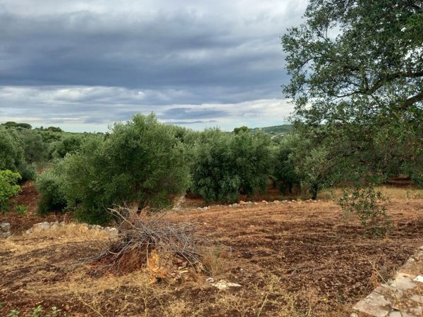 casa indipendente in vendita ad Ostuni