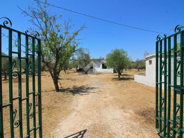 casa indipendente in vendita ad Ostuni