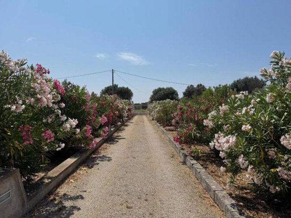 casa indipendente in vendita ad Ostuni