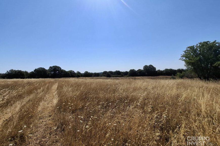 casa indipendente in vendita ad Ostuni
