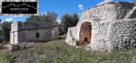 immagine annuncio 0 di 8