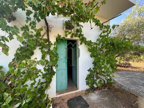 casa indipendente in vendita ad Ostuni