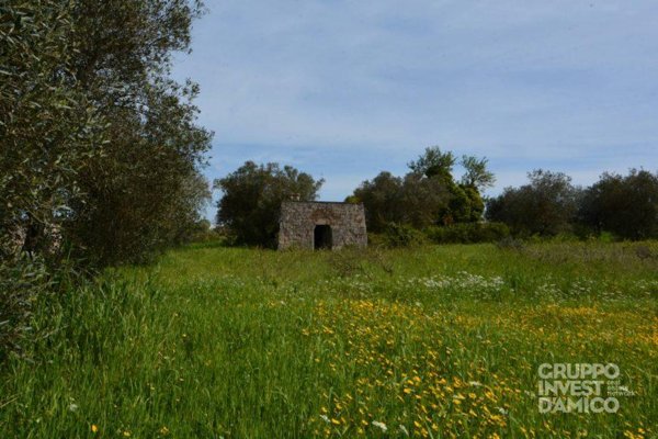 negozio in vendita ad Ostuni