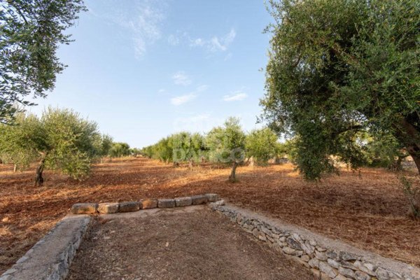 terreno agricolo in vendita ad Ostuni
