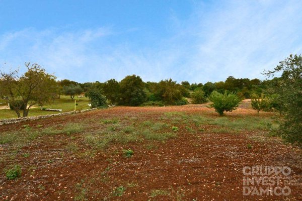 terreno agricolo in vendita ad Ostuni