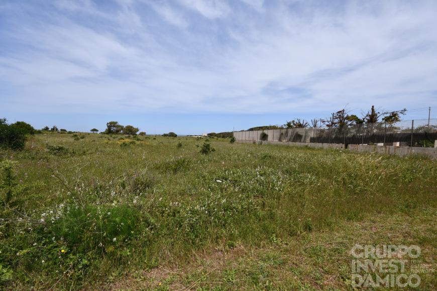 terreno agricolo in vendita ad Ostuni