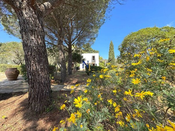 casa indipendente in vendita ad Ostuni