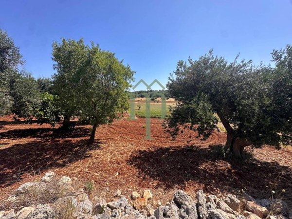 terreno agricolo in vendita ad Ostuni