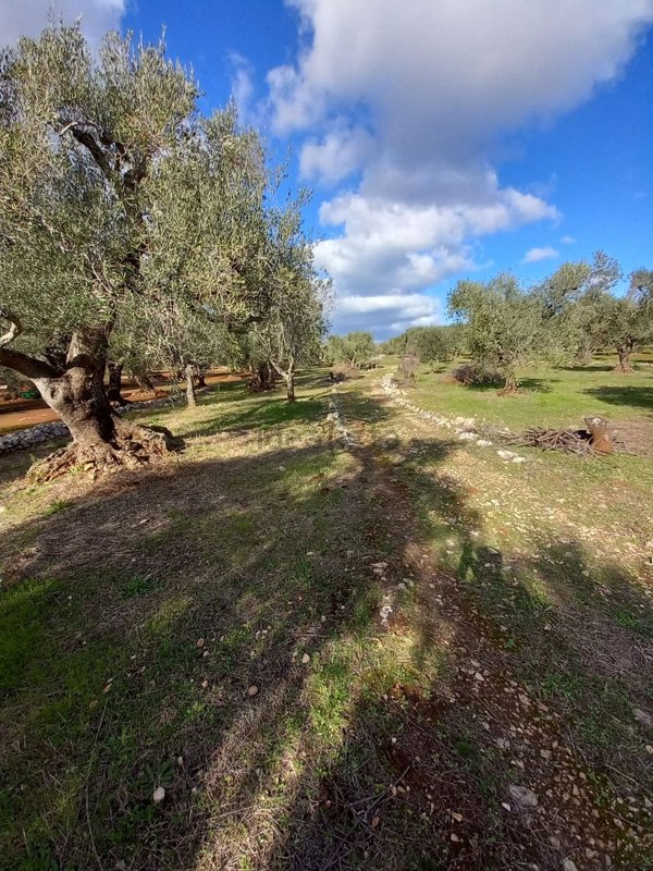 casa indipendente in vendita ad Ostuni