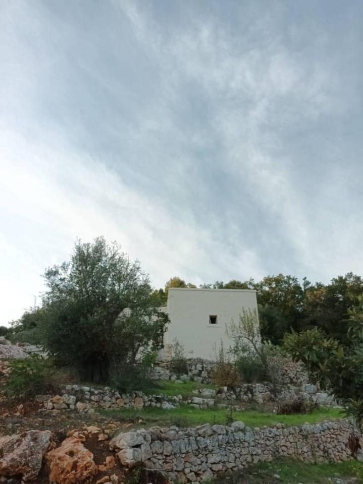 negozio in vendita ad Ostuni