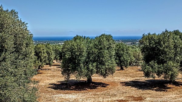 casale in vendita ad Ostuni