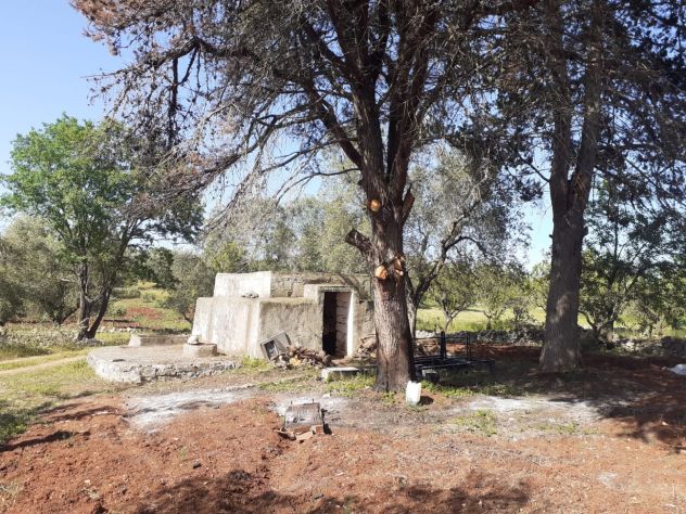 terreno agricolo in vendita ad Ostuni