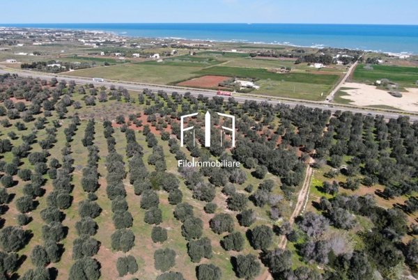 terreno agricolo in vendita ad Ostuni