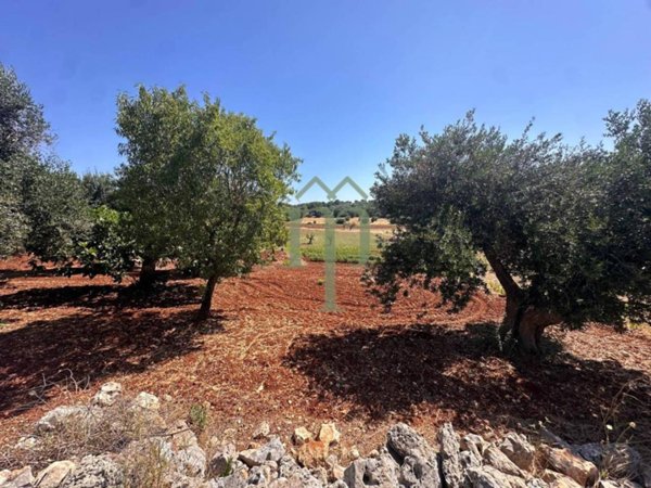 terreno agricolo in vendita ad Ostuni