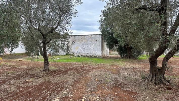 casale in vendita ad Ostuni