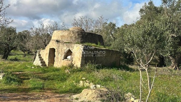 negozio in vendita ad Ostuni