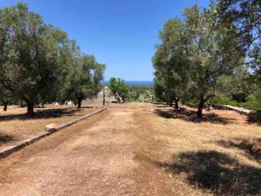 negozio in vendita ad Ostuni