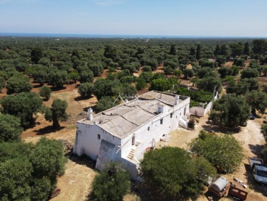 negozio in vendita ad Ostuni
