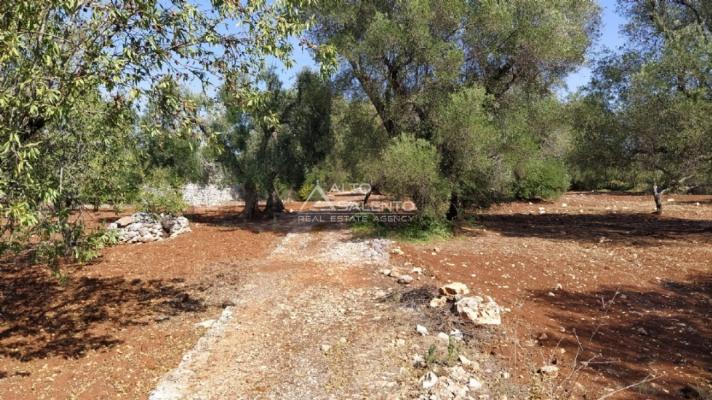 negozio in vendita ad Ostuni