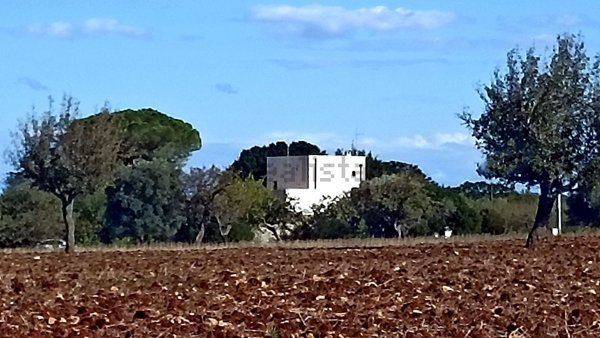 esavano in vendita ad Ostuni