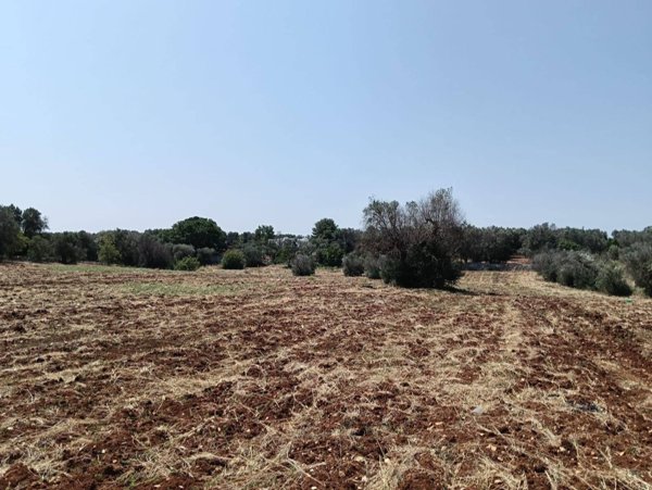 monolocale in vendita ad Ostuni