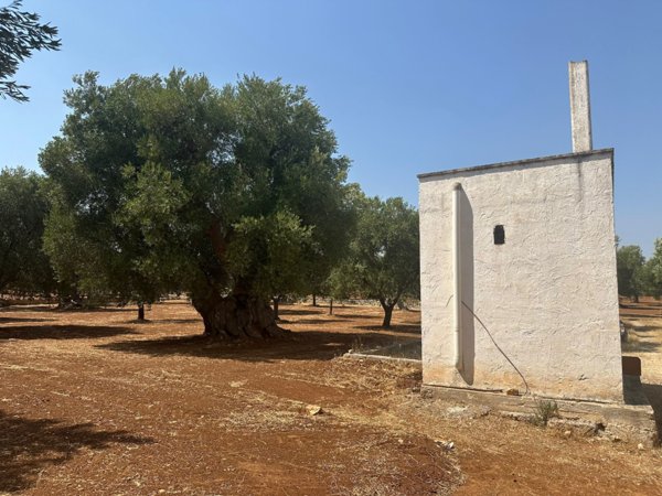 casa indipendente in vendita ad Ostuni