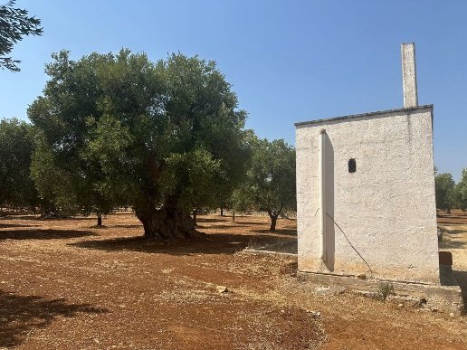 casa indipendente in vendita ad Ostuni
