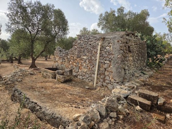 terreno agricolo in vendita ad Ostuni