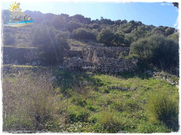 appartamento in vendita ad Ostuni