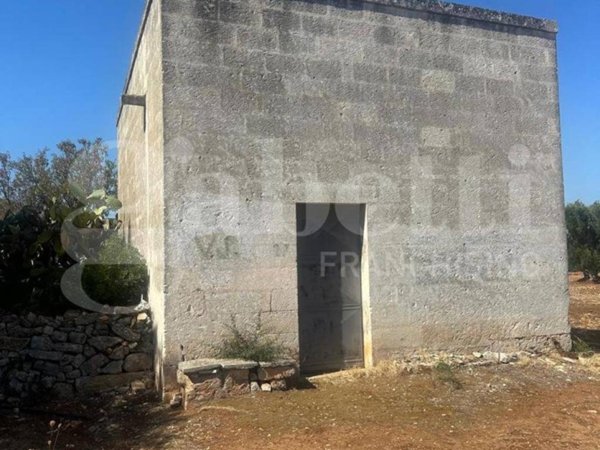terreno agricolo in vendita ad Ostuni