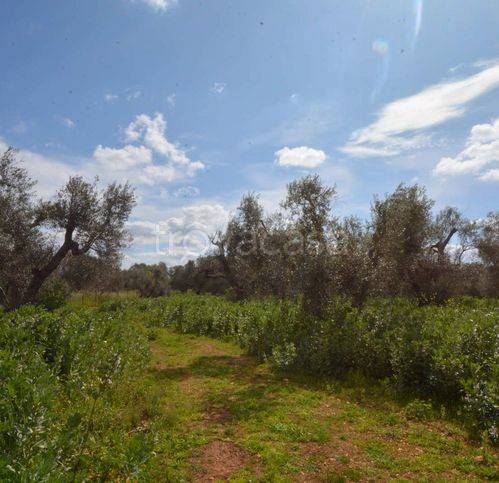 casa indipendente in vendita ad Ostuni