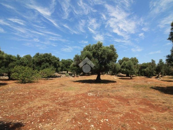 casa indipendente in vendita ad Ostuni