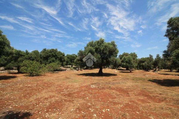 appartamento in vendita ad Ostuni