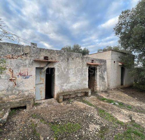 casa indipendente in vendita ad Ostuni