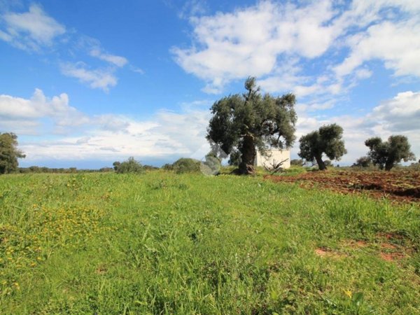 casa indipendente in vendita ad Ostuni