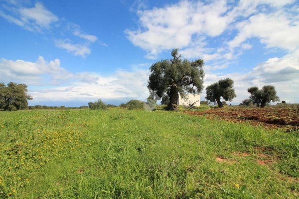 casa indipendente in vendita ad Ostuni